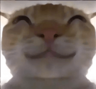 9570官方金沙入口登录偷吃模拟器开容器模拟器下载-9570官方金沙入口登录偷吃模拟器开容器模拟器手游官方下载v1.0.6